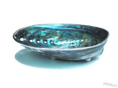 Abalone dish with silver rim