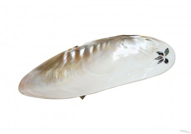Shell dish with MOP
