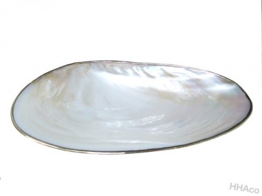 Shell dish with silver rim